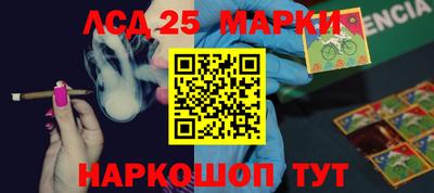 СК Донецк