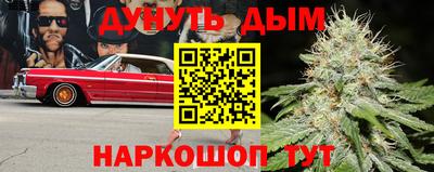 СК Донецк