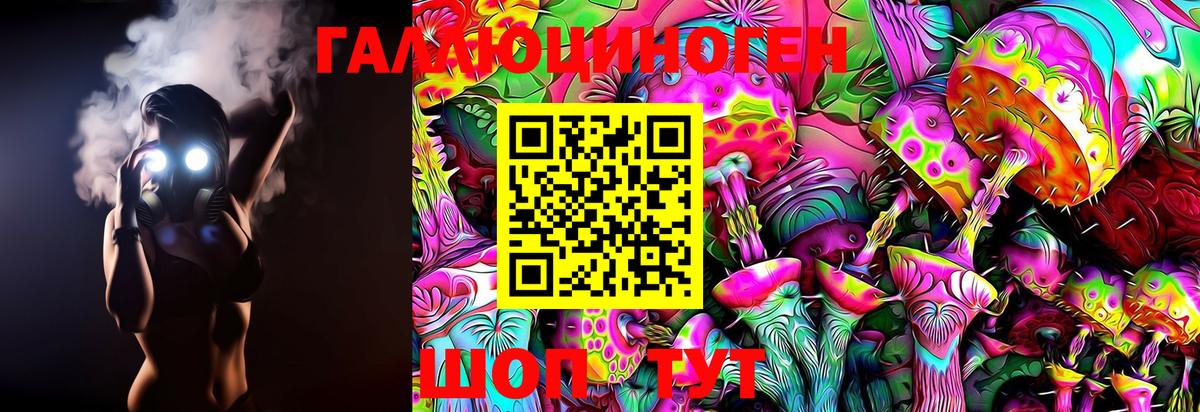 Галлюциногенные грибы Cubensis  Псилоцибиновые грибы Psilocybine cubensis  Вход с VPN  Трёхгорный 